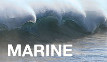 Marine og havvand